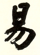 I Ching: BL Lacerta symbol of Change