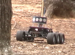 jBot in the woods